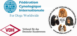 Logos FCI-VDH-ICC